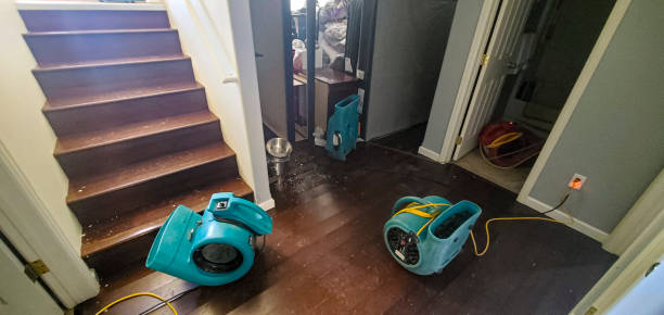 Best Basement water damage restoration  in Miller, SD