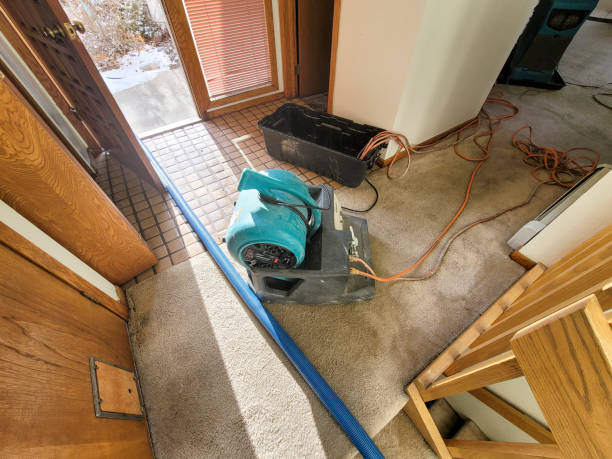 Best Residential water damage restoration  in Miller, SD