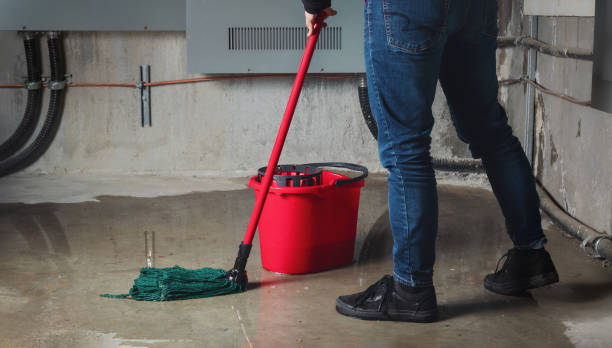 Best Water damage contractors near me  in Miller, SD