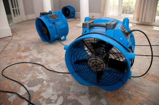 Trusted Miller, SD Water damage restoration Experts