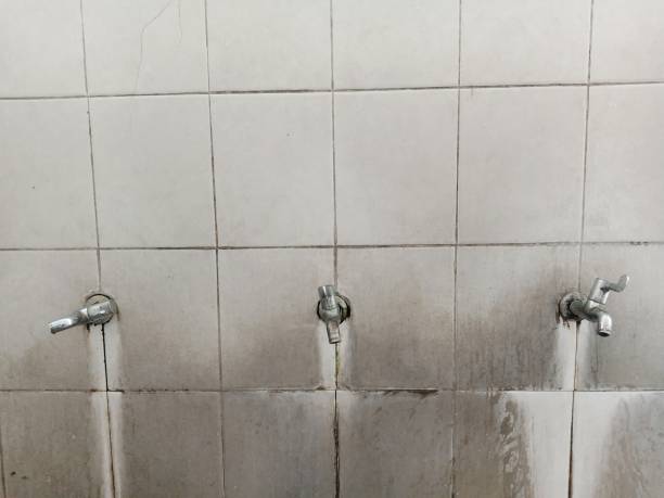 Best Fire Damage Restoration  in Miller, SD