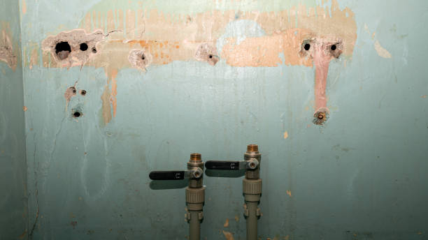 Best Water damage restoration near me  in Miller, SD
