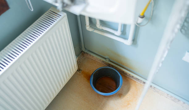 Best Professional water damage repair  in Miller, SD