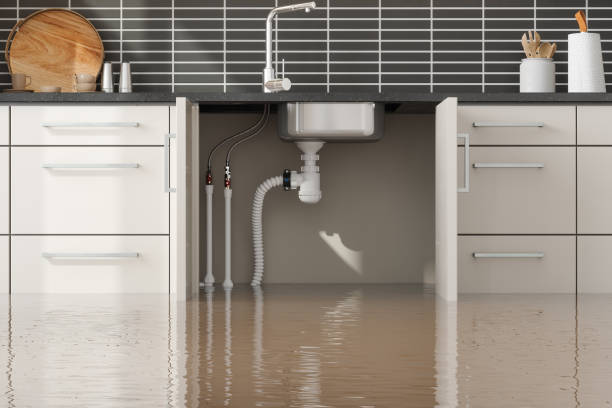 Best Mold removal after water damage  in Miller, SD