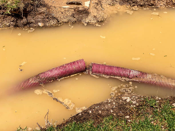 Best Emergency water damage restoration  in Miller, SD