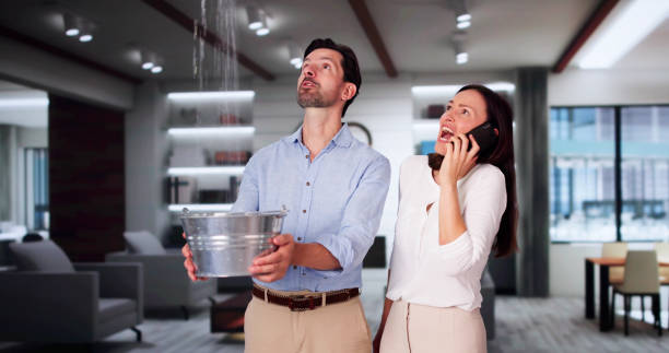 Best Fire Damage Restoration  in Miller, SD